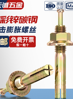 国标高强度膨胀螺栓击芯膨胀螺丝锤钉壁虎一钉得M6M8M10M12M16M20