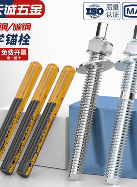 国标304/316不锈钢化学锚栓化学膨胀螺栓倒锥化学螺丝M8M10M12M16