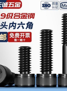 M18M20M22M24M27M30M36 12.9级内六角螺丝黑色杯头螺栓圆柱头螺钉