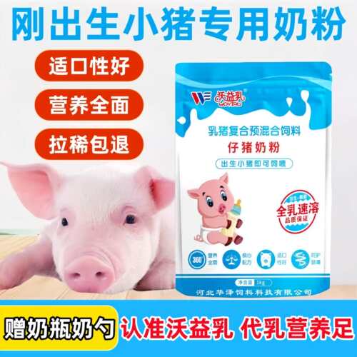 刚出生乳猪专用全脂奶粉上膘快