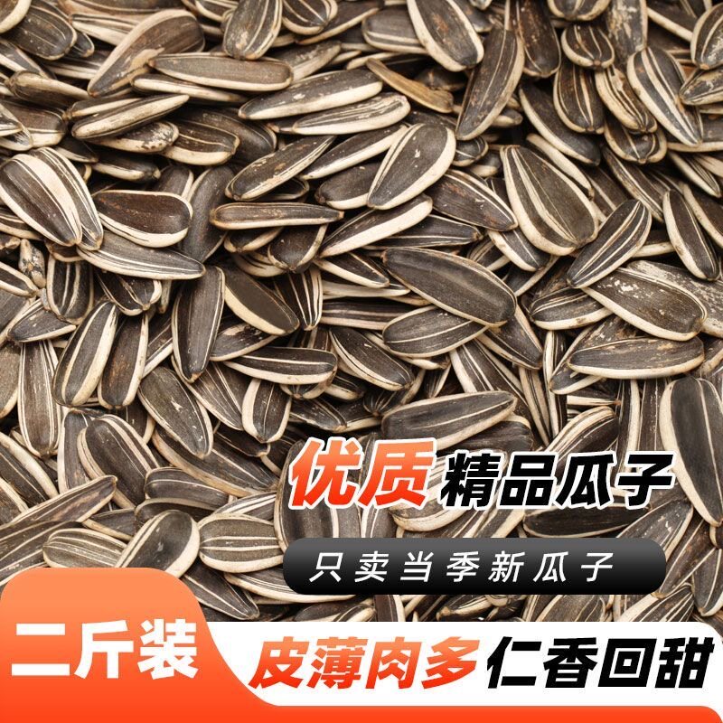 内蒙古特产原味瓜子炒货坚果零食小吃休闲食品特大颗粒原味葵花籽