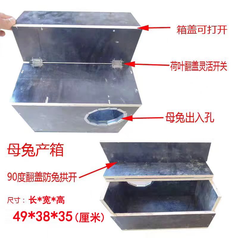 种兔产子箱兔笼外挂产箱双孔母兔产仔箱公羊兔比利时兔产子箱木制