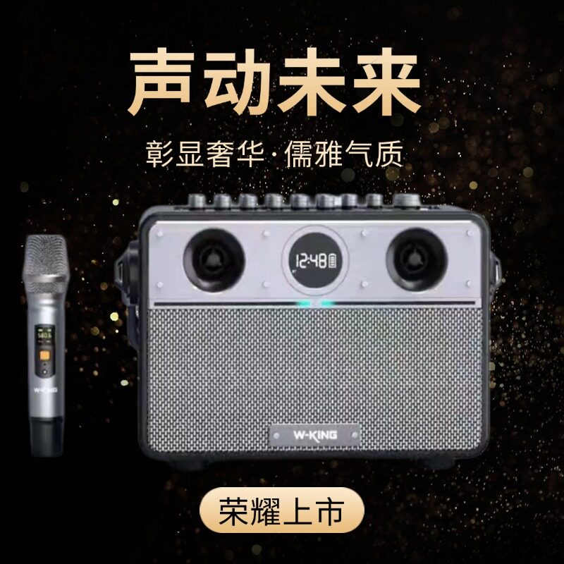 维尔晶T16S音响直播乐器电吹管萨克斯K歌户外大功率一体蓝牙音箱