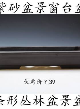紫砂花盆条形窗台景盆丛林盆