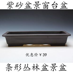 紫砂花盆条形窗台盆客厅盆景盆丛林盆艺多肉植物花盆中国风陶瓷盆