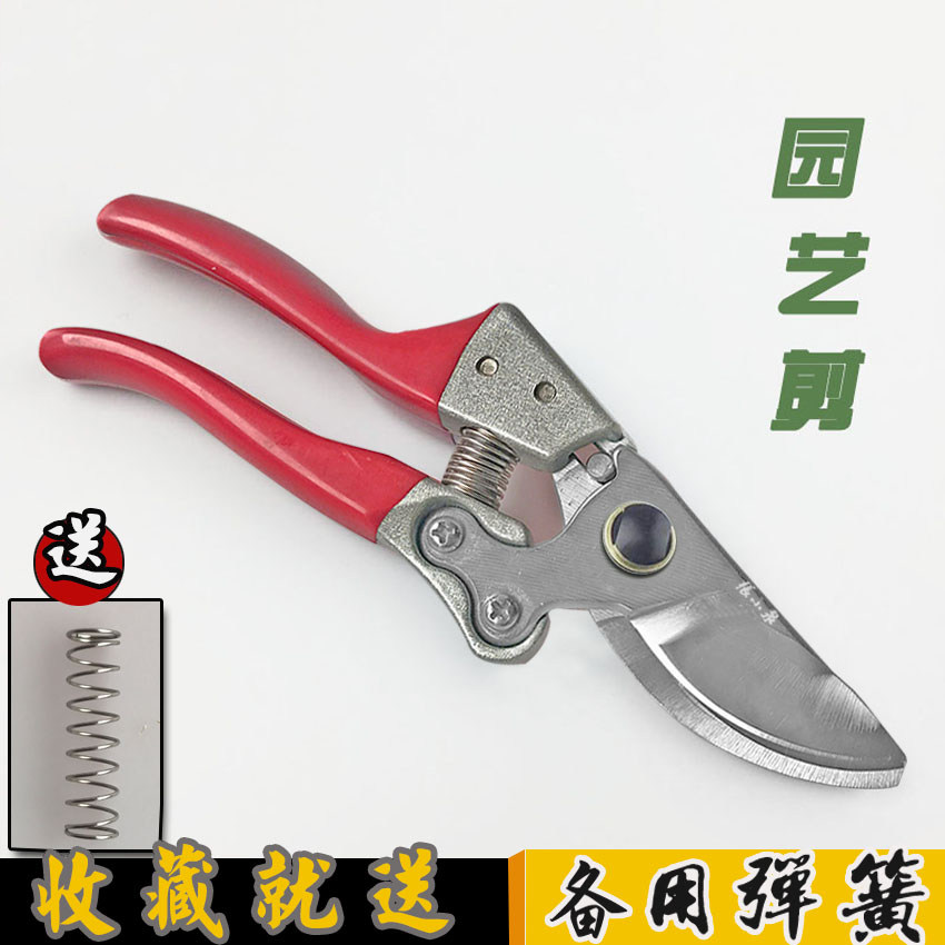 台冠修枝剪园艺剪刀园林枝剪家用剪树枝果树剪树枝剪刀园艺剪,居家日用,园艺刀剪,淘宝优惠券,粉丝福利购,淘宝优惠卷