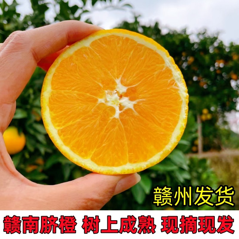 正宗江西赣南脐橙5/20斤赣州直发寻乌甜橙子当季新鲜孕妇水果手剥,水产肉类/新鲜蔬果/熟食,橙,淘宝优惠券,粉丝福利购,淘宝优惠卷