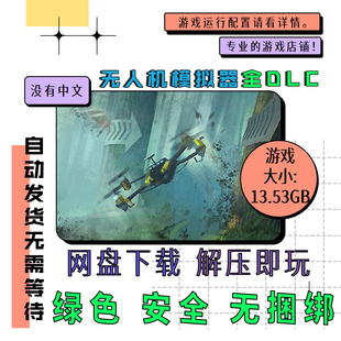 PC电脑 免steam 无人机模拟器 Liftoff®: FPV Drone Racing 英文