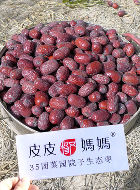 皮妈菜园子生态小灰枣新疆若羌红枣树上吊干2800克兵团枣