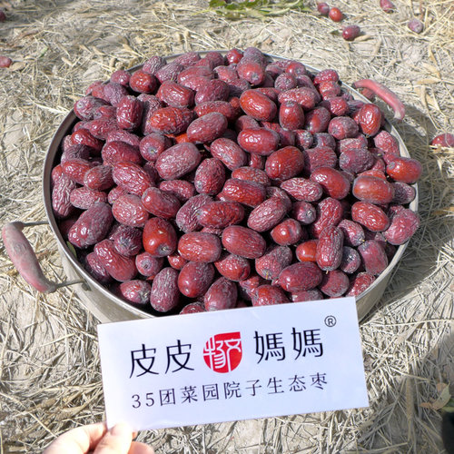 菜园子2800克兵团新疆红枣若羌枣