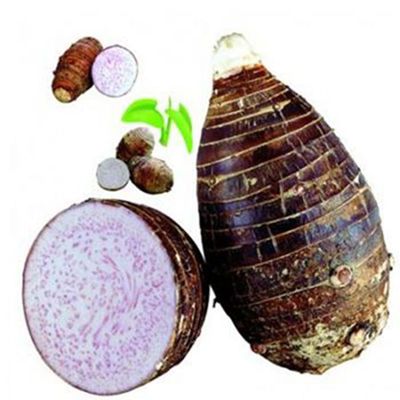 桂林特产正宗荔浦芋头新鲜2个