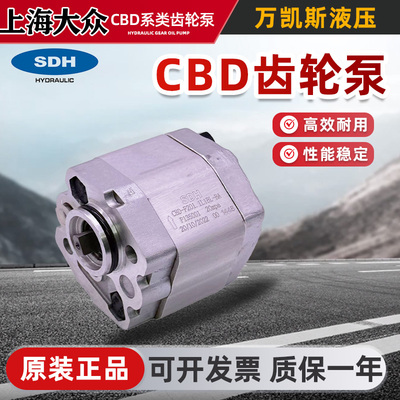 上海大众微型外啮合齿轮泵
