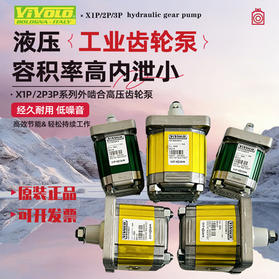 VIVOLO 意大利维沃尔高压齿轮泵 X1P X2P X3P XV1P XV2P/3102FBBA