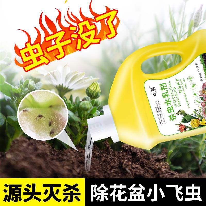 去除治理打泥土里的虫药蚂蚁药杀虫剂埋有小黑飞虫子花盆泥土杀虫