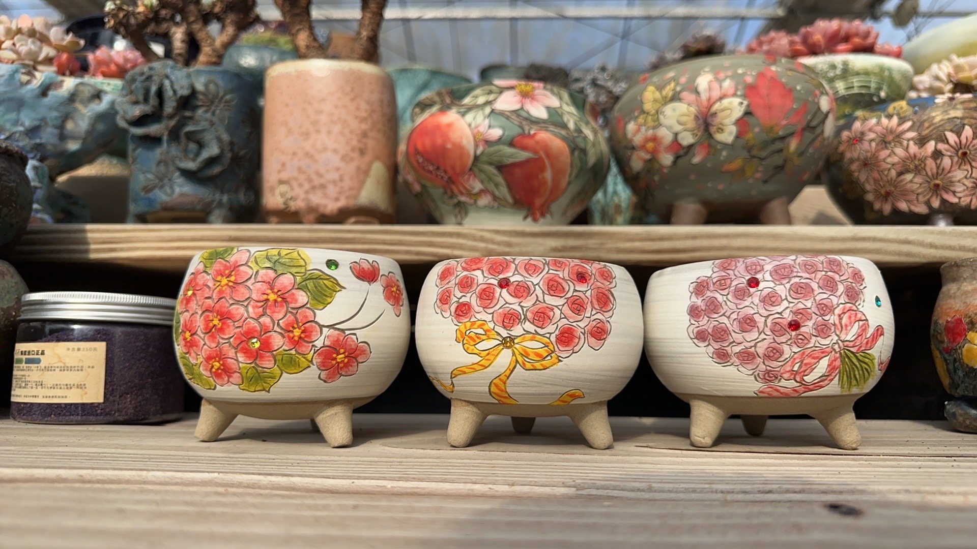 韩盆花开花盆内口7.5外高8,鲜花速递/花卉仿真/绿植园艺,多肉植物,淘宝优惠券,粉丝福利购,淘宝优惠卷