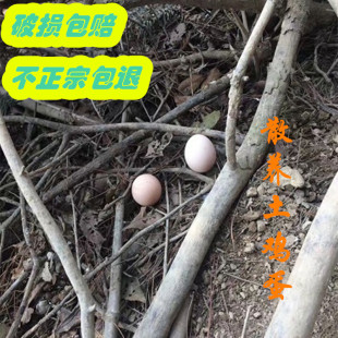 阿良伯正宗农家土鸡蛋天目山农村散养土鸡蛋新鲜家养蛋草鸡蛋30个