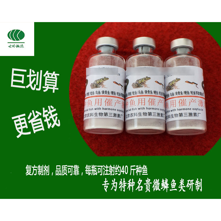 牛蛙蝌蚪苗食用蛙类繁殖药石美蛙