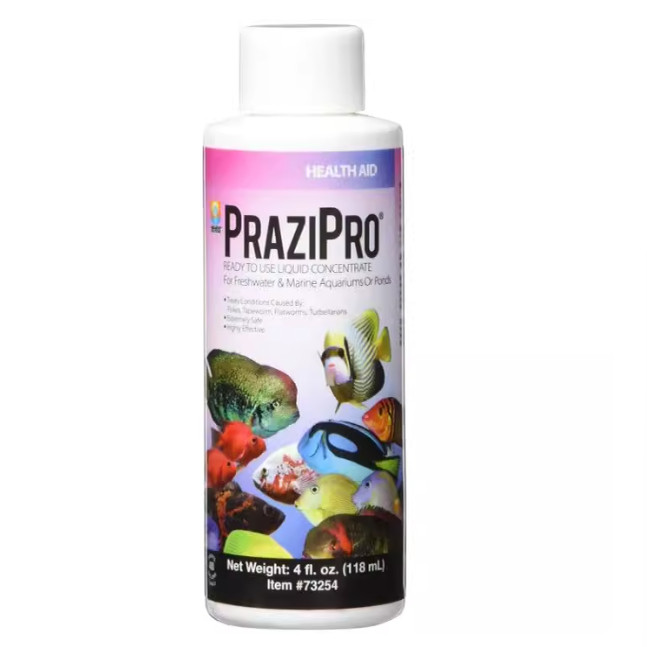 在途Hikari Usa AHK73254 Prazipro for Aquarium, 4-Ounce图片