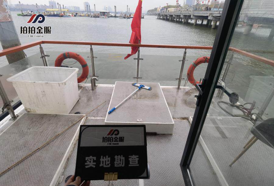 被执行人南阳白河水上元宇宙旅游发展有限公司名下的船舶（南阳白河010）一艘，船舶登记号：251222000065