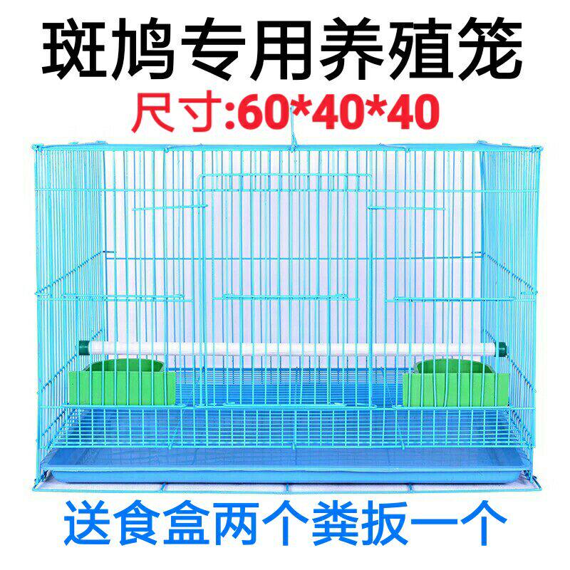 鸟笼鹦鹉笼观赏鸟笼斑鸠繁殖笼鸟食谷子鸟用具鸽用具全国多省包邮