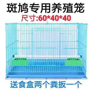 鸟笼鹦鹉笼观赏鸟笼斑鸠繁殖笼鸟食谷子鸟用具鸽用具全国多省包邮