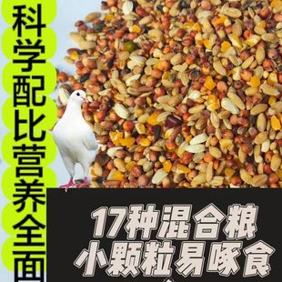 斑鸠粮食17合1竹鸡粮鸽粮食营养饲料鸟食信鸽观赏鸽赛鸽通用鸽粮