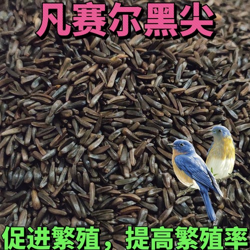 黑尖凡塞尔黑尖鹦鹉提性促繁殖金丝雀鸟食鸟粮进口 新粮