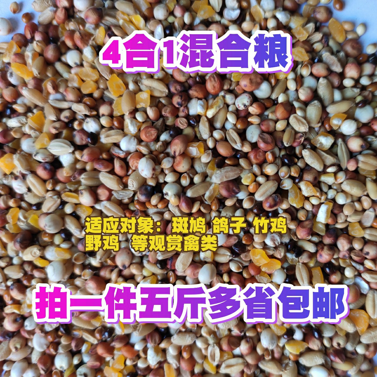 斑鸠粮竹鸡粮山鸡粮粮斗鸡鸽粮