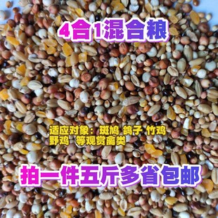 斑鸠粮竹鸡粮山鸡粮鸡饲料斗鸡粮仓鼠粮4合1鸽粮鸟食饲料5斤包邮