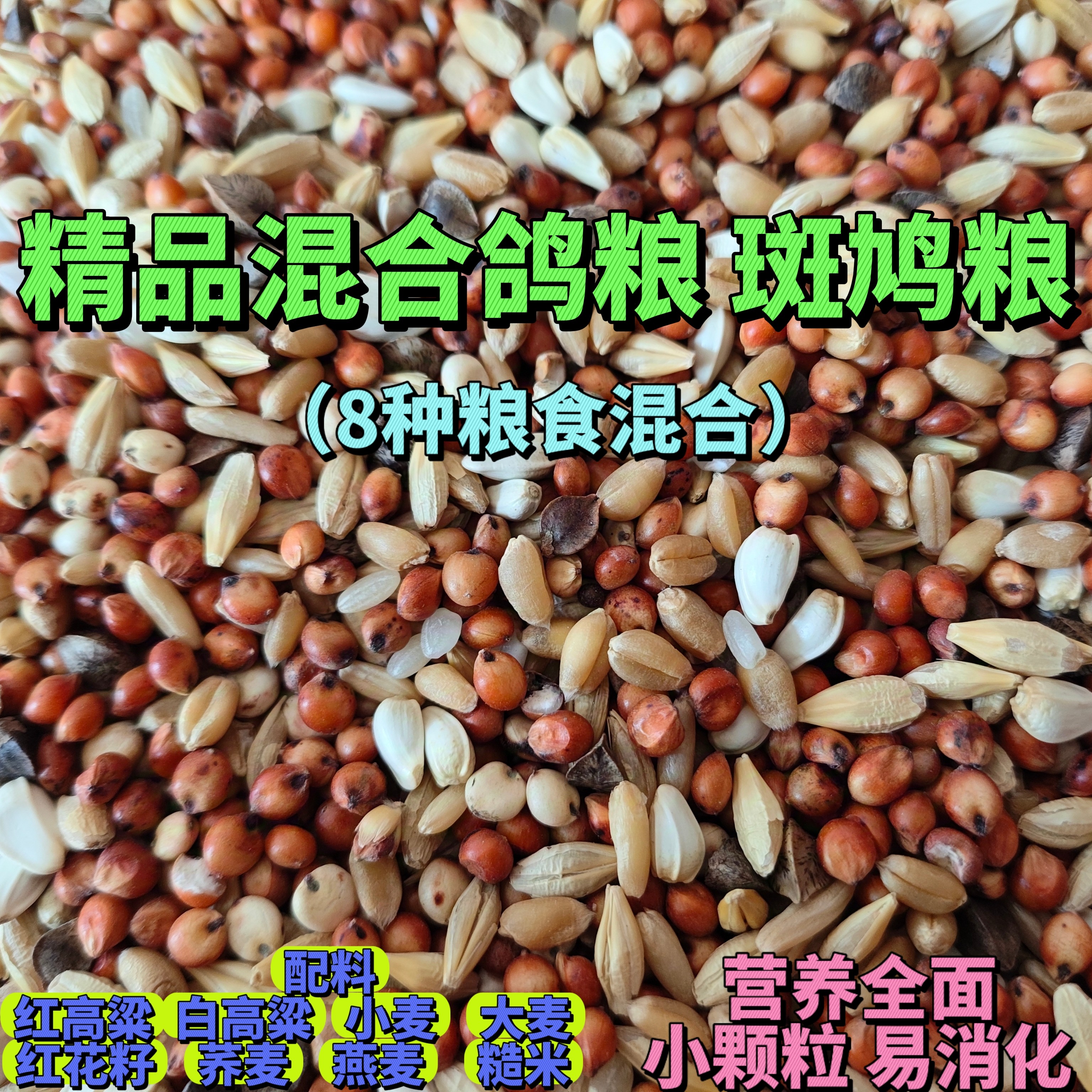斑鸠小鸽子7+1幼鸽粮食鸽子饲料无玉米无豌豆鸽粮魔术鸽赛鸽鸽粮