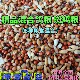 斑鸠小鸽子7 1幼鸽粮食鸽子饲料无豌豆鸽粮魔术鸽赛鸽鸽粮