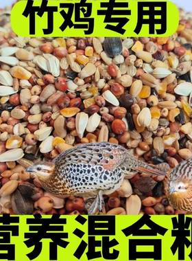 竹鸡媒混合粮提性壮膘饲料精品斑鸠媒竹鸡媒鹧鸪媒专用饲料包邮
