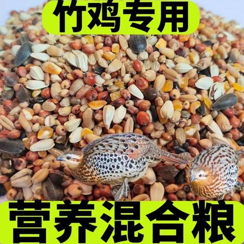 竹鸡媒混合粮提性壮膘饲料精品斑鸠媒竹鸡媒鹧鸪媒专用饲料包邮