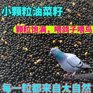 鸟食小颗粒油菜籽玄凤牡丹虎皮鹦鹉饲料文鸟饲料珍珠鸟宠物鸟粮食