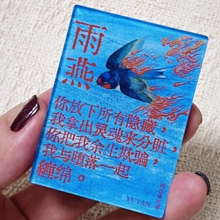 南青乐队周边冰箱贴雨燕摇滚张伟博音乐节演唱会装饰物料磁吸