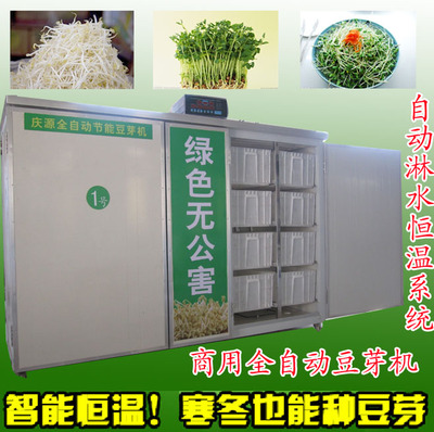 大型豆芽机商用全自动厂家正品