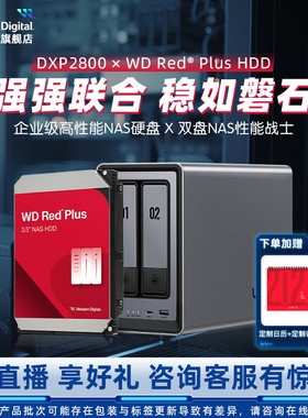 WD西部数据私有云绿联DXP2800双盘位NAS家用家庭网络存储器主机文件个人云硬盘扩容