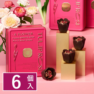 满200包直邮 东京Tulip Rose郁金香奶油巧克力曲奇情人节限定罐
