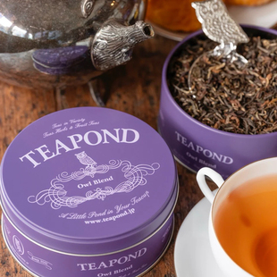 满200日本直邮Teapond红茶15周年限定Owl猫头鹰混合红茶罐装