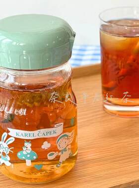 日本山田诗子Karel Capek夏季爱丽丝冷泡玻璃冷泡壶400ml