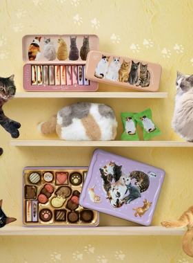 满200包直邮 日本玛丽Mary2026情人节可爱猫猫巧克力罐化妆包系列