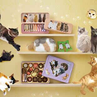 现货 日本玛丽Mary2026情人节可爱猫猫巧克力罐化妆包系列