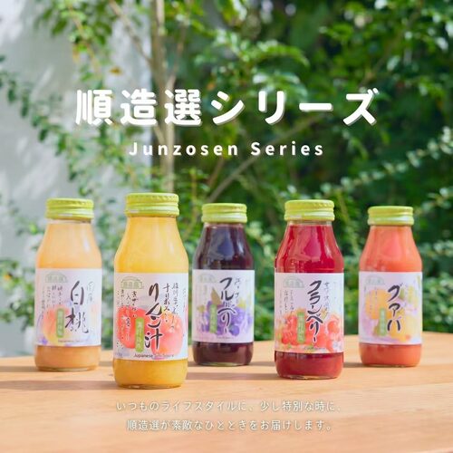 满200包直邮 日本顺造选Junzosen无添加无糖纯果汁饮料180ml