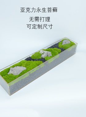 无需打理装饰景观永生绿植摆件