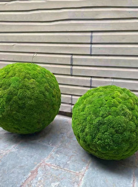 手工制作精品永生苔藓球