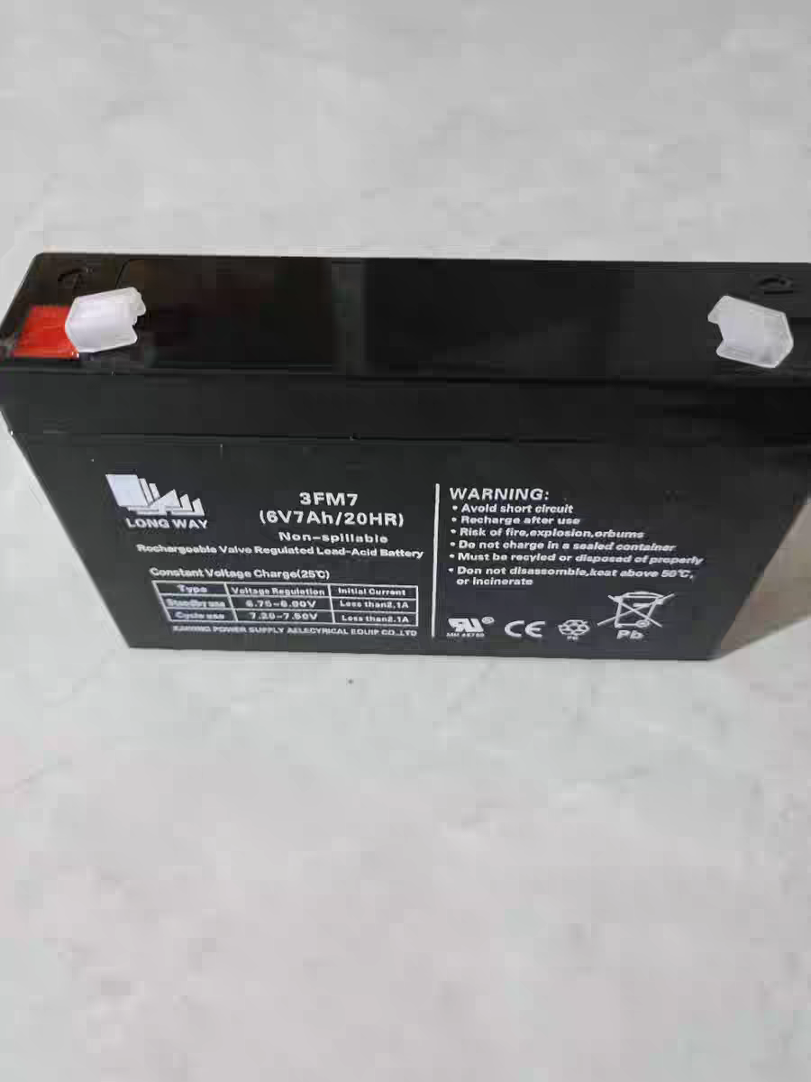 儿童电动汽车电瓶龙威牌 6v7ah 蓄电池包邮 LONG WAY 3FM7 正品