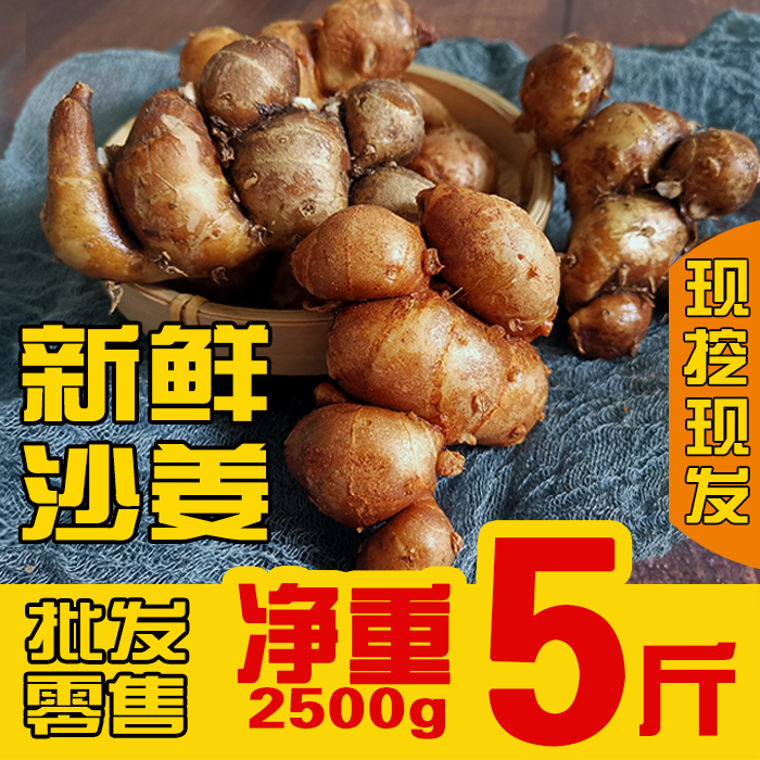 新鲜生沙姜 5斤包邮 山奈山姜白切鸡猪鸭调味配料香料新姜广东