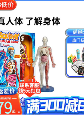 smartlab探索人体器官模型内脏玩具儿童拼装科学实验拼图3d解刨