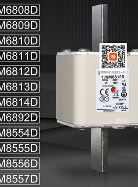 巴斯曼170M6808D 6809D 170M6810D 6811D 170M6812D 6813D熔断器