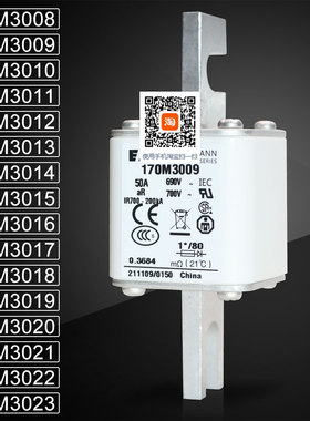 保险170M3008 3009 3010 3011 170M3012 3013 3014 3015熔断器